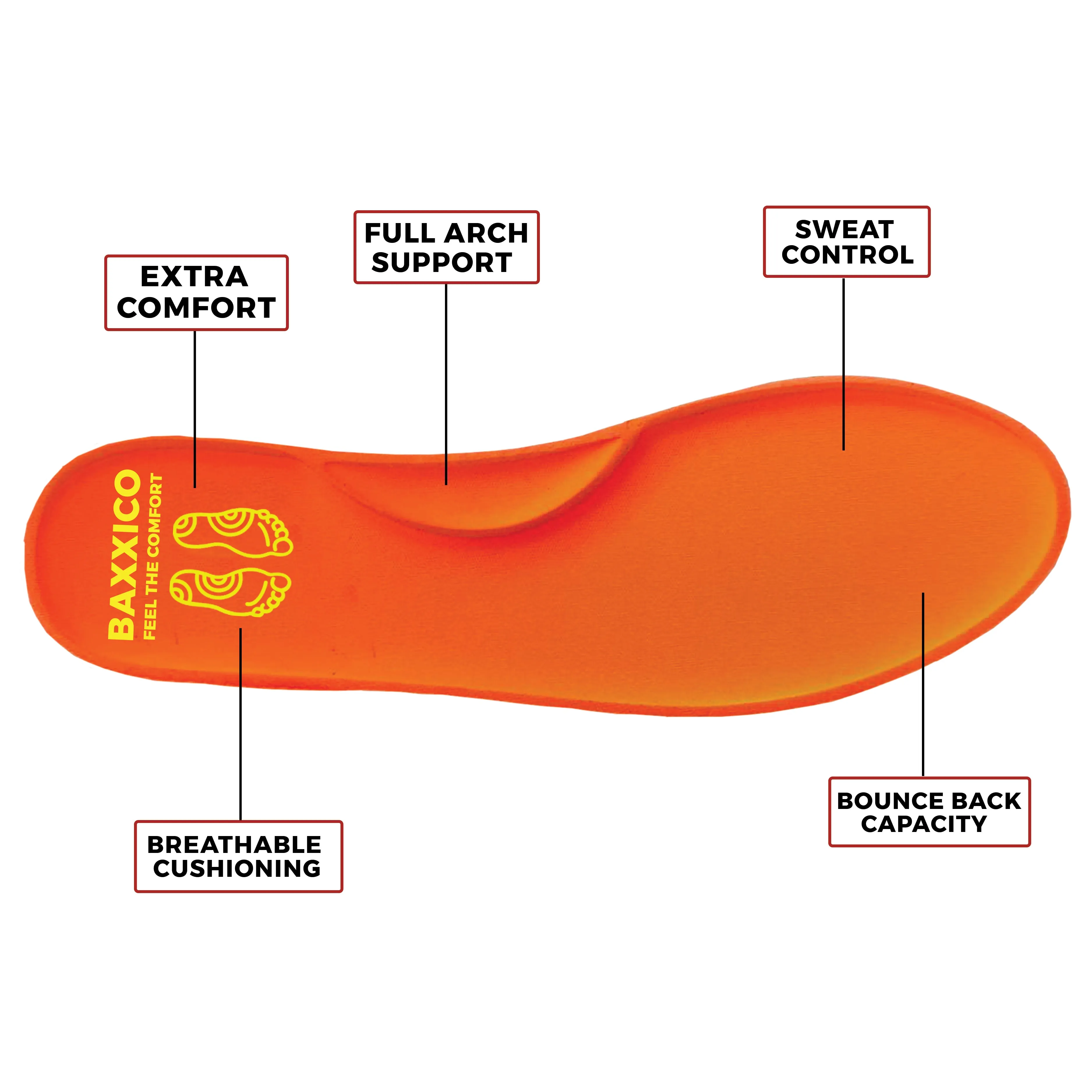 Maximize your comfort with our Multipurpose Support Insoles