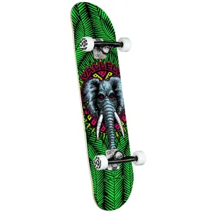 POWELL-PERALTA COMPLETE - VALLELY ELEPHANT (8")